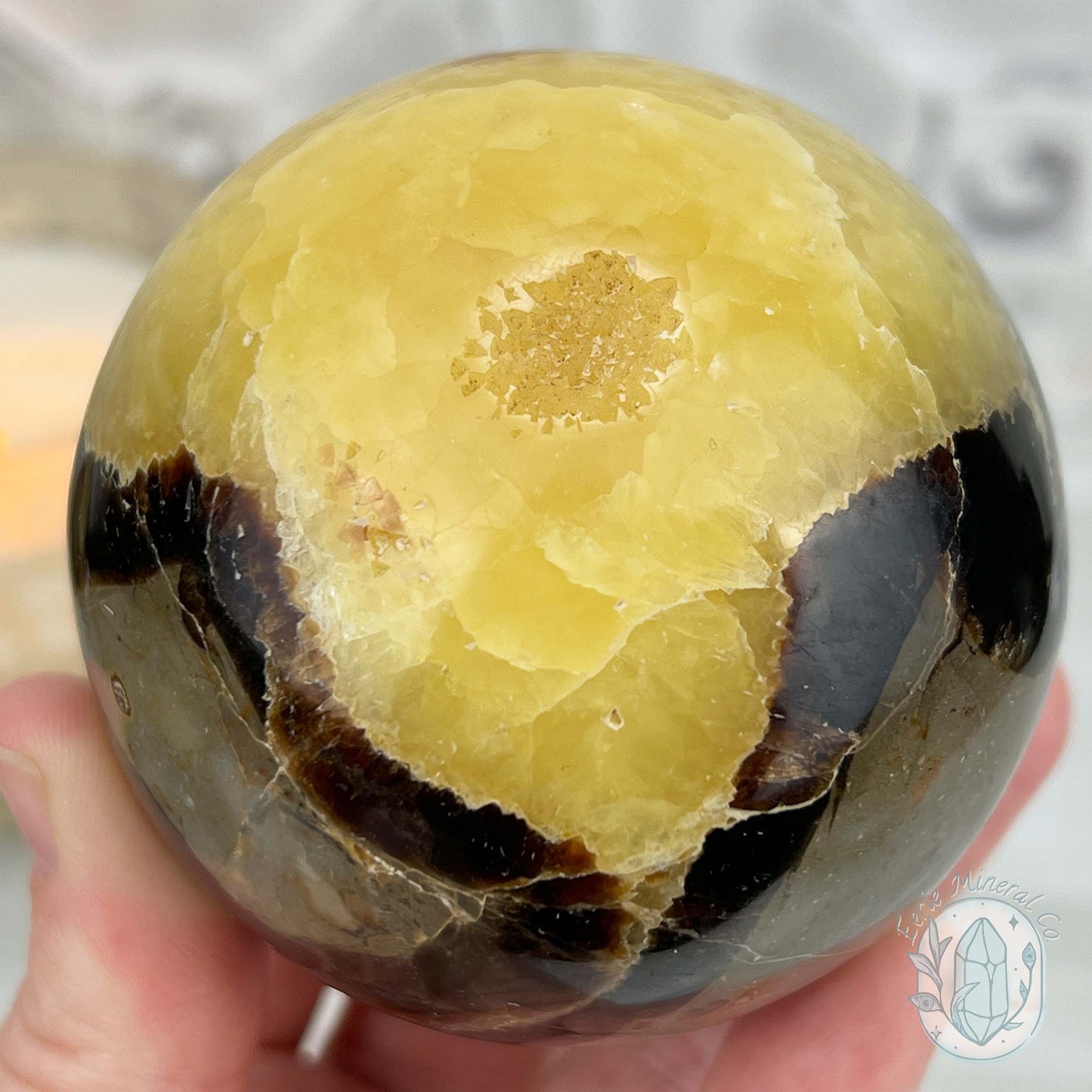 72mm Polished Septarian Sphere