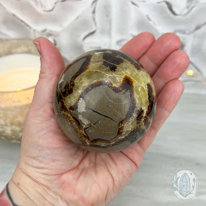 72mm Polished Septarian Sphere