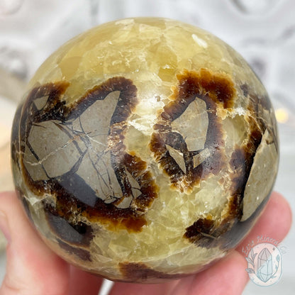 72mm Polished Septarian Sphere