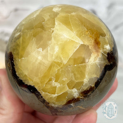 72mm Polished Septarian Sphere