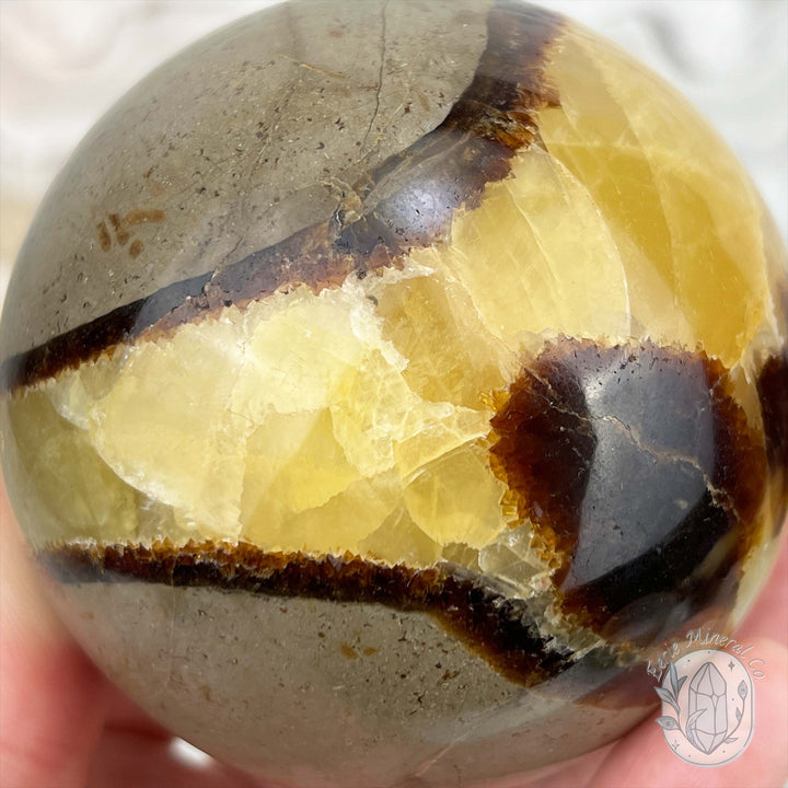 76mm Polished Septarian Sphere