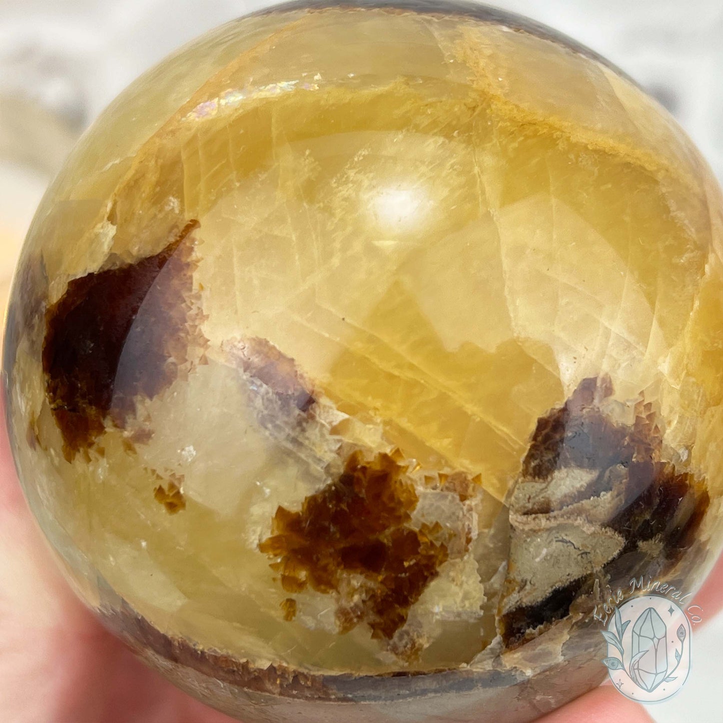 76mm Polished Septarian Sphere