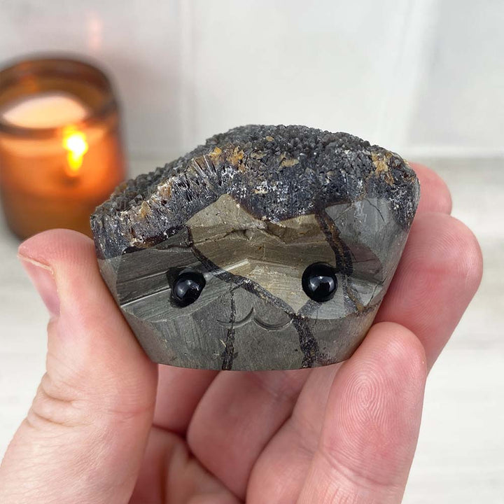 Septarian Nodule Hedgehog Carving