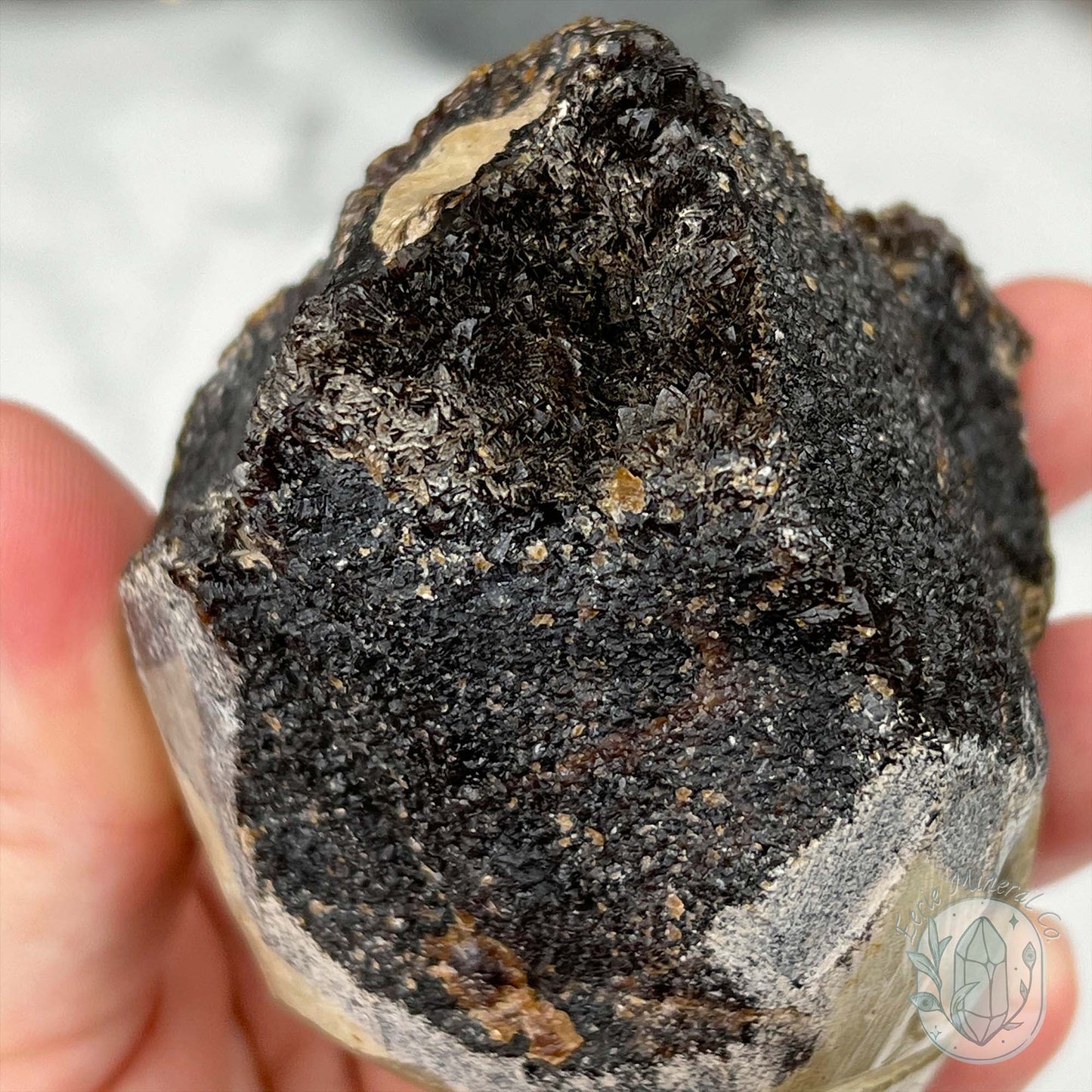 Septarian Nodule Hedgehog Carving