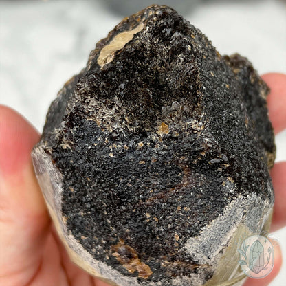 Septarian Nodule Hedgehog Carving