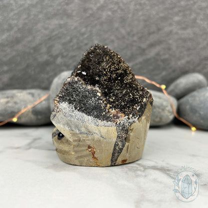 Septarian Nodule Hedgehog Carving