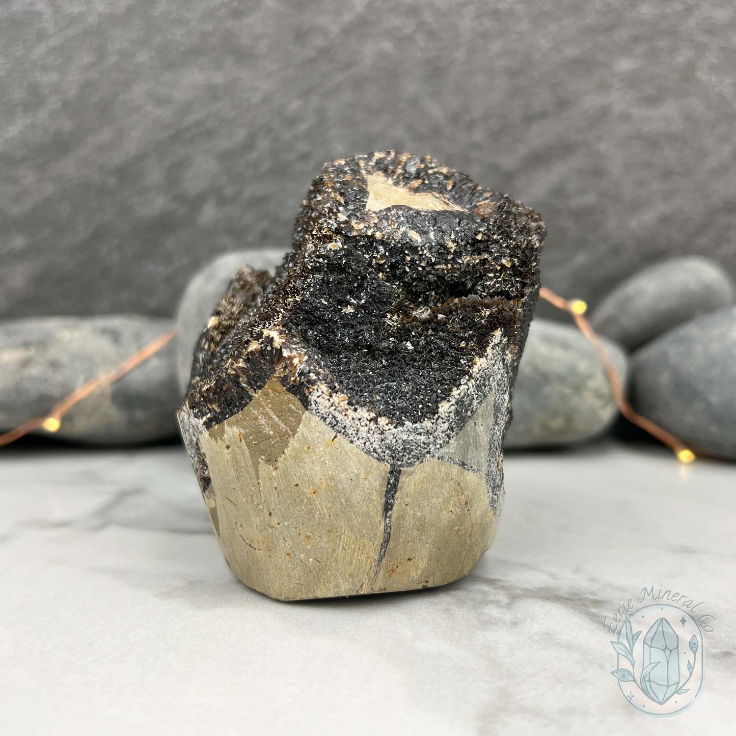Septarian Nodule Hedgehog Carving