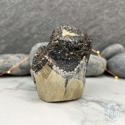 Septarian Nodule Hedgehog Carving