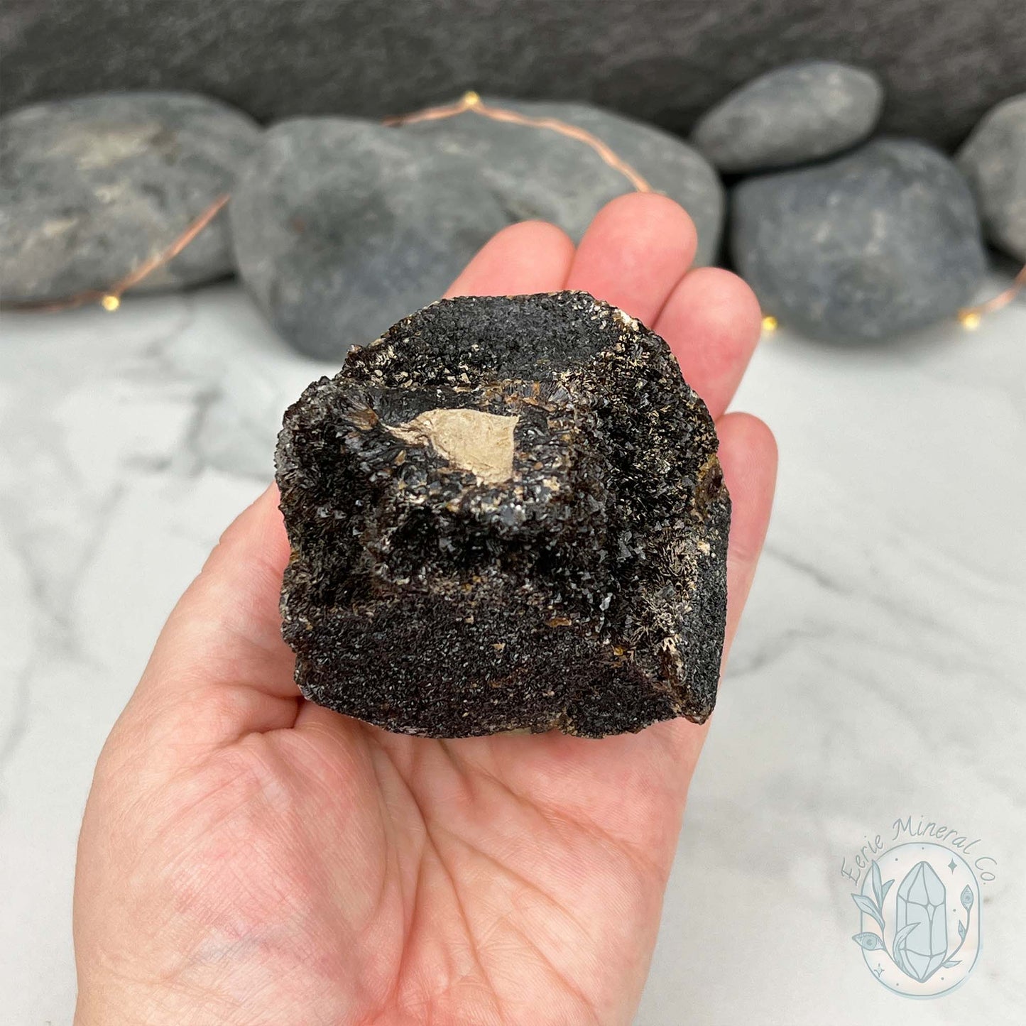 Septarian Nodule Hedgehog Carving