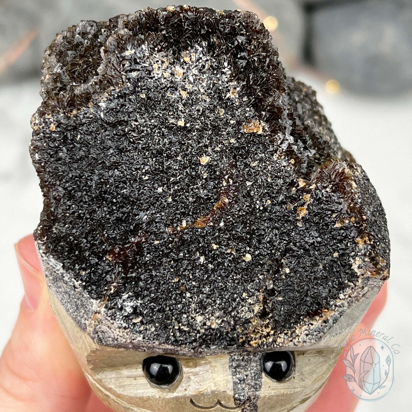 Septarian Nodule Hedgehog Carving