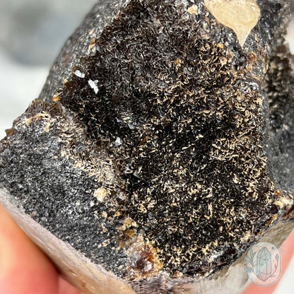 Septarian Nodule Hedgehog Carving