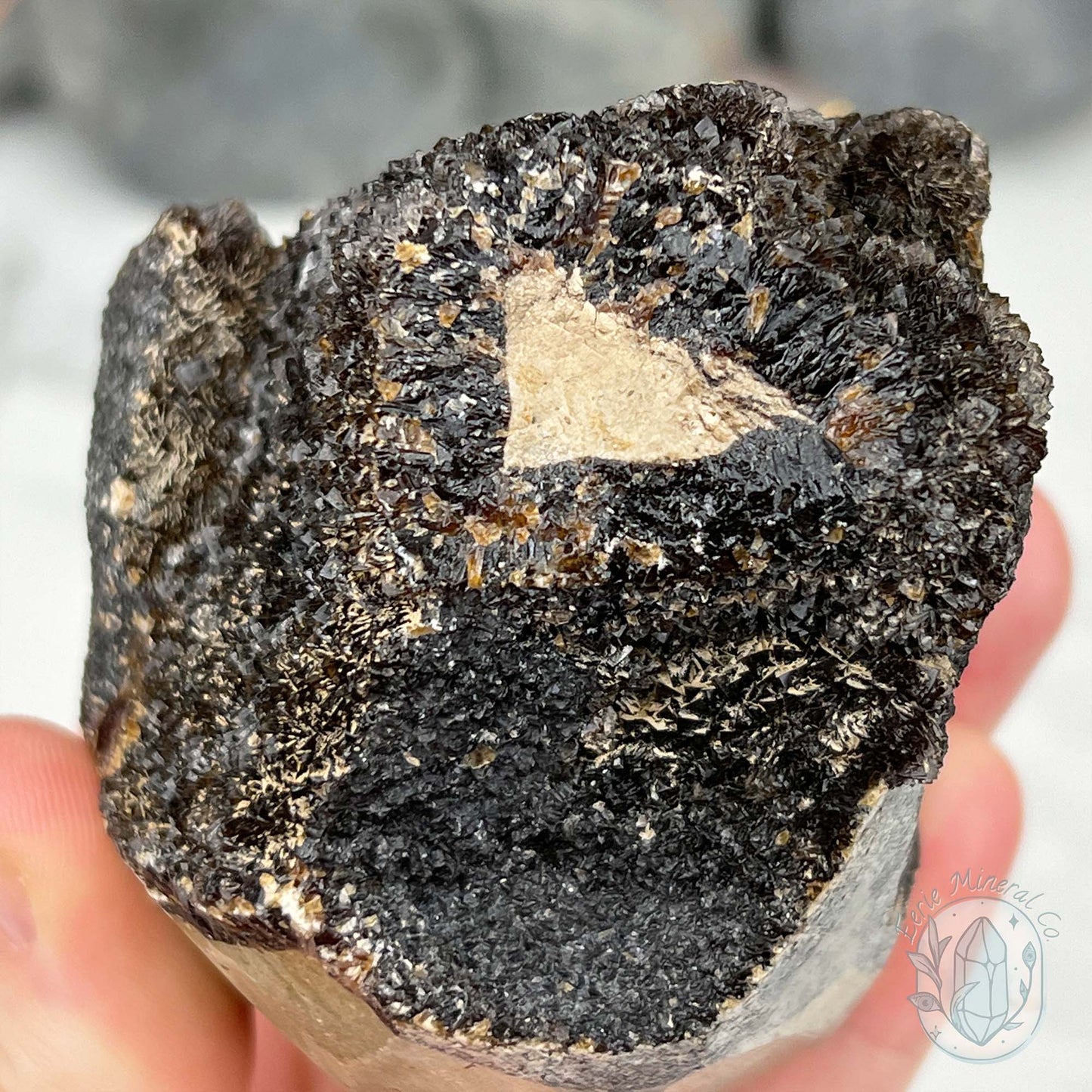 Septarian Nodule Hedgehog Carving