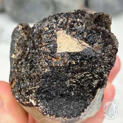 Septarian Nodule Hedgehog Carving