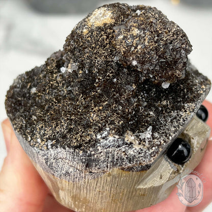 Septarian Nodule Hedgehog Carving