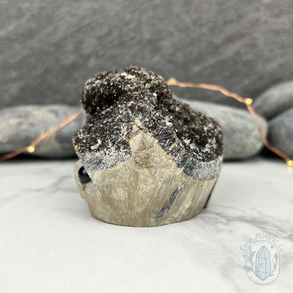 Septarian Nodule Hedgehog Carving