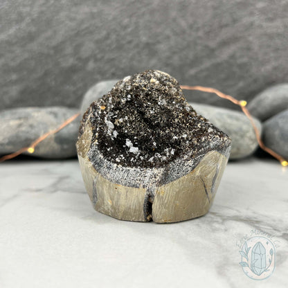 Septarian Nodule Hedgehog Carving