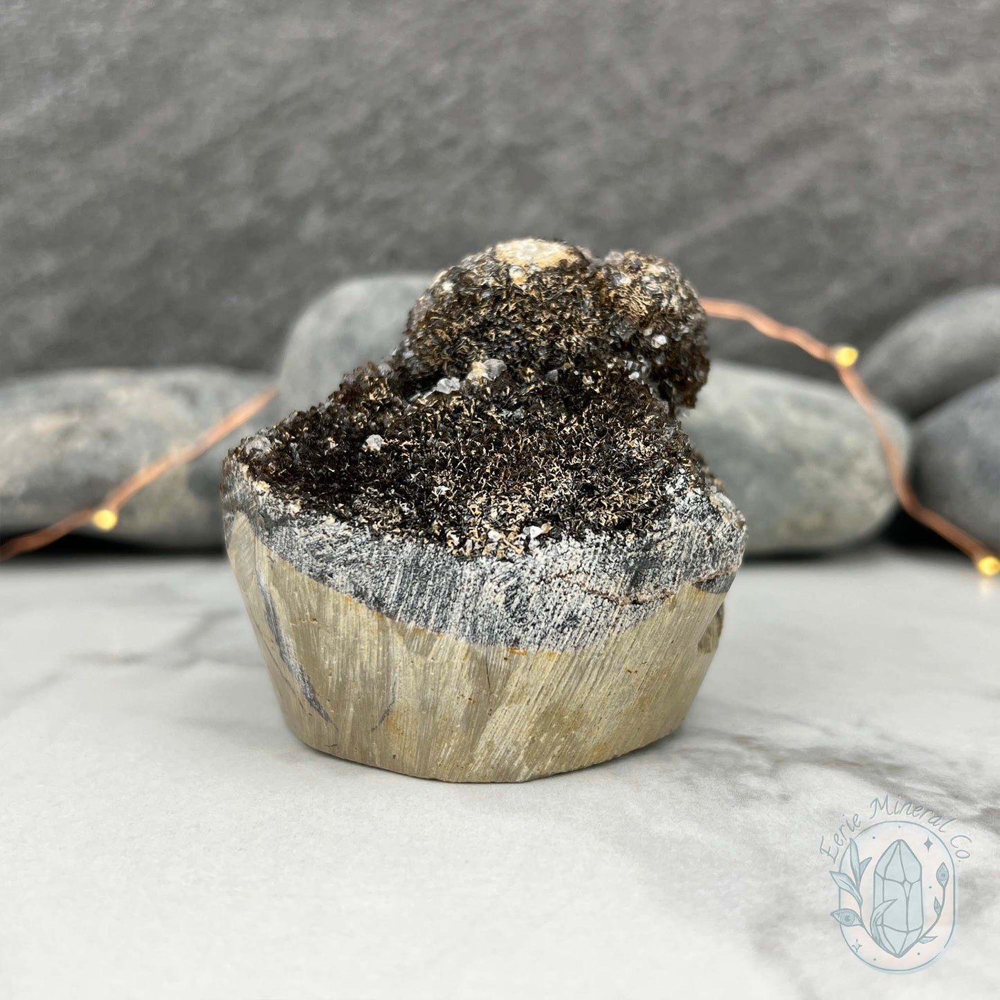 Septarian Nodule Hedgehog Carving
