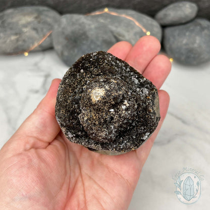 Septarian Nodule Hedgehog Carving