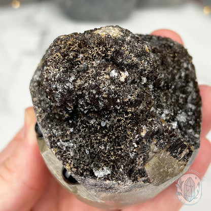 Septarian Nodule Hedgehog Carving