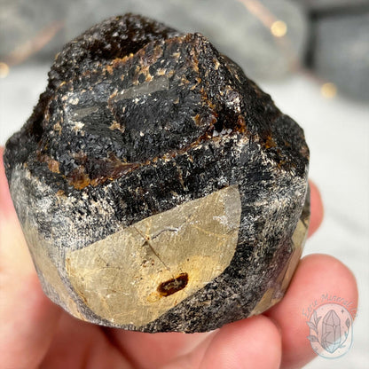 Septarian Nodule Hedgehog Carving