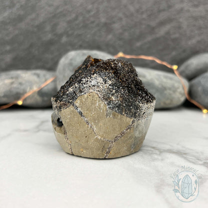 Septarian Nodule Hedgehog Carving