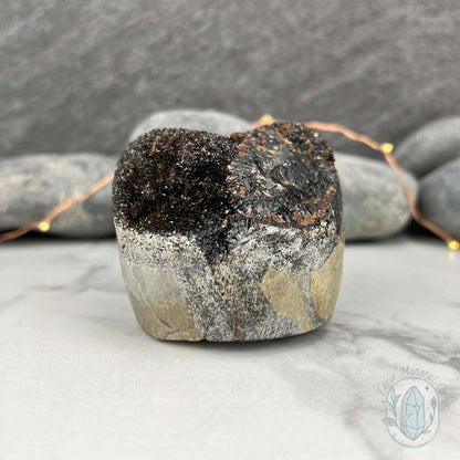 Septarian Nodule Hedgehog Carving