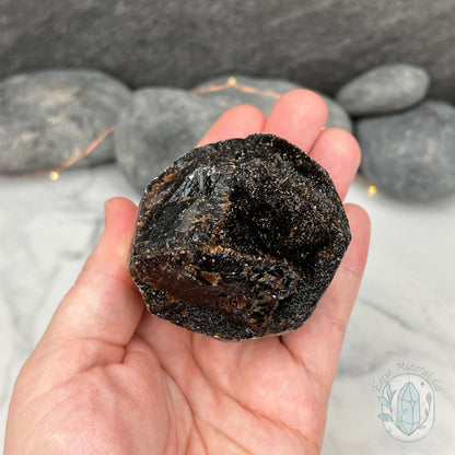 Septarian Nodule Hedgehog Carving