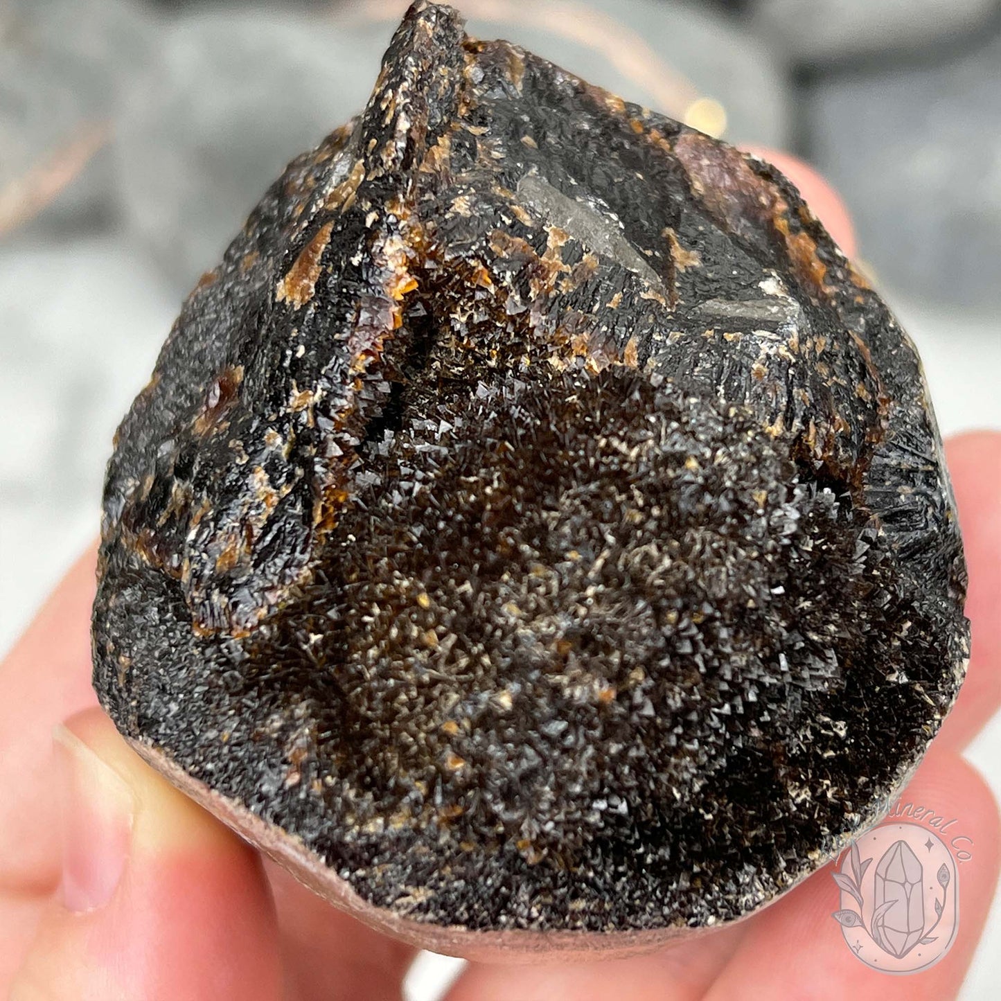 Septarian Nodule Hedgehog Carving
