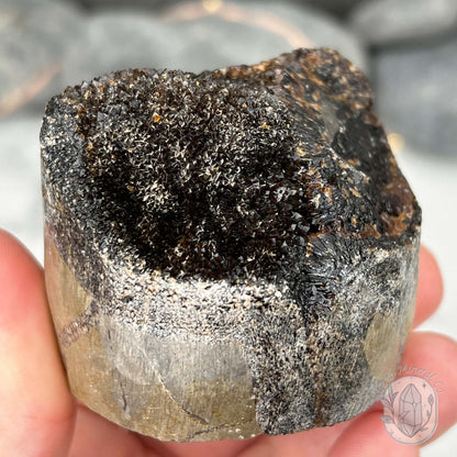 Septarian Nodule Hedgehog Carving