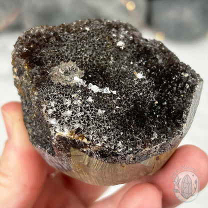 Septarian Nodule Hedgehog Carving