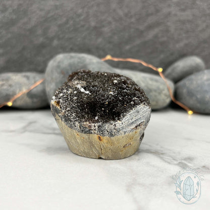 Septarian Nodule Hedgehog Carving