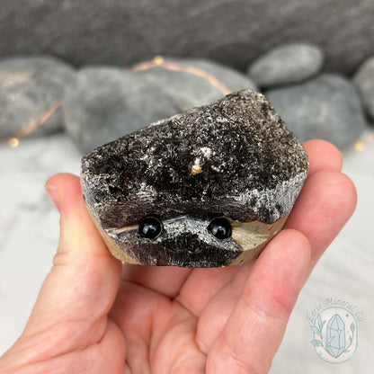 Septarian Nodule Hedgehog Carving