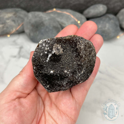 Septarian Nodule Hedgehog Carving