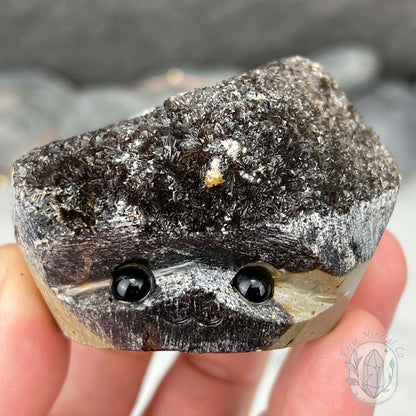 Septarian Nodule Hedgehog Carving