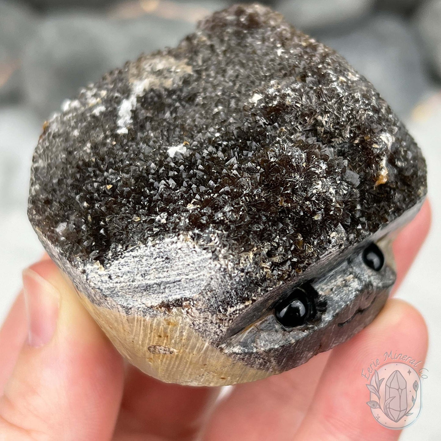 Septarian Nodule Hedgehog Carving
