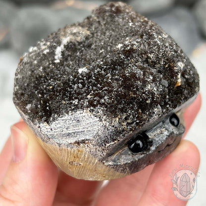 Septarian Nodule Hedgehog Carving