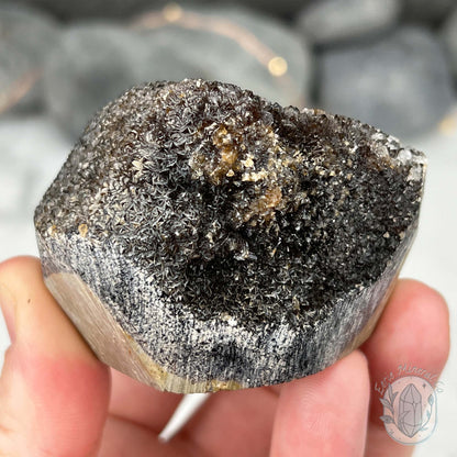 Septarian Nodule Hedgehog Carving