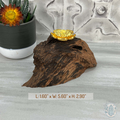 Driftwood Gold Blossom Single Sphere Holder Stands