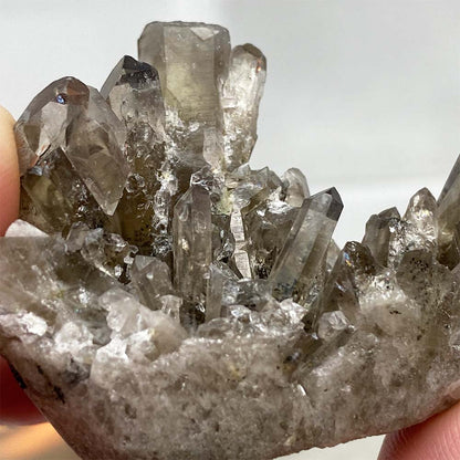 Smoky Quartz Crystal Cluster Specimen Hedgehog Carving