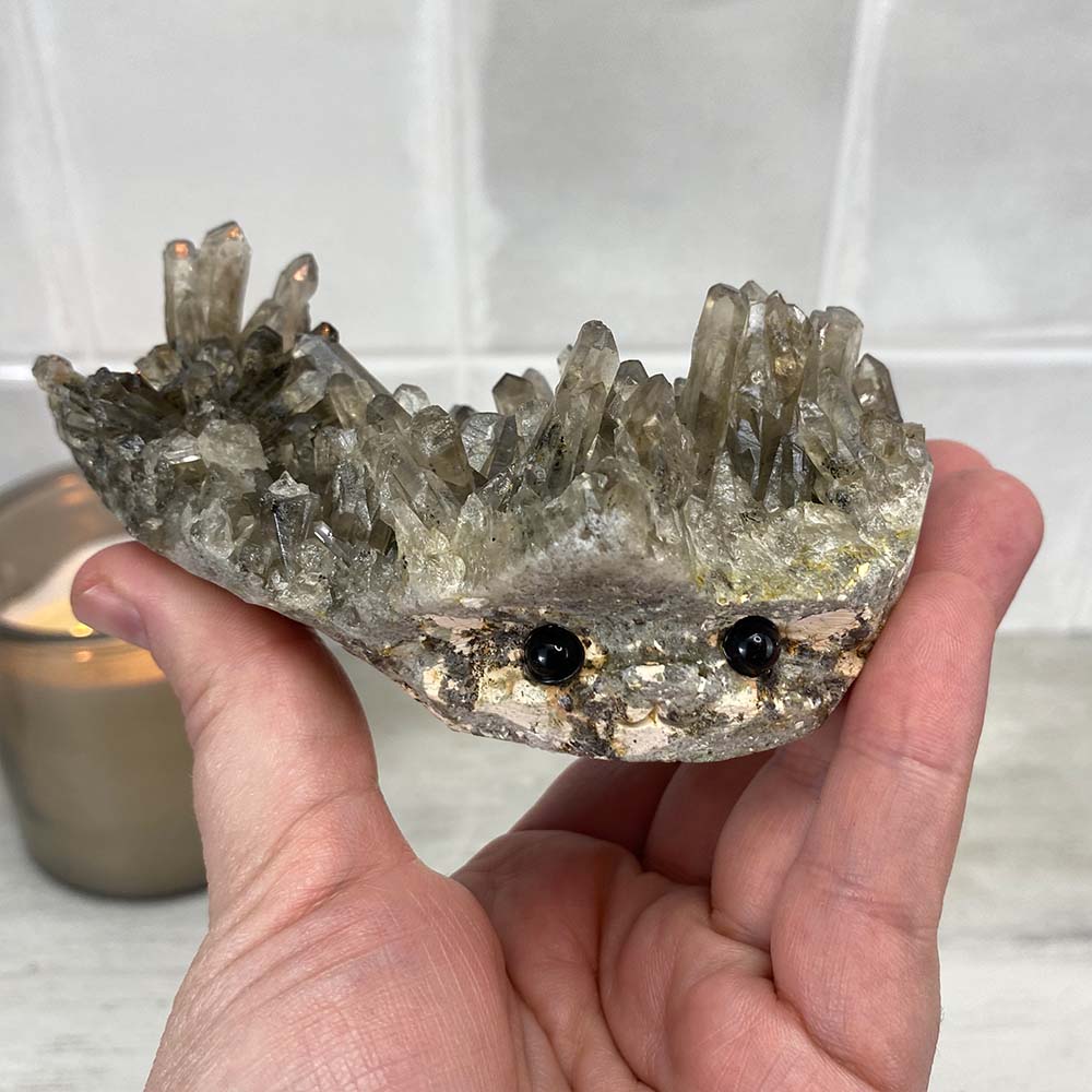 Smoky Specimen Hedgehog Carving