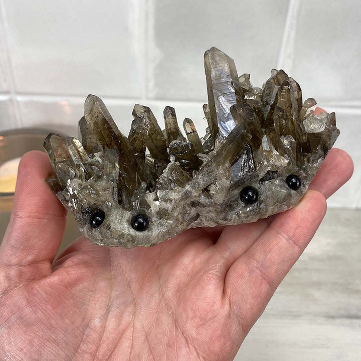 Smoky Specimen Hedgehog Carving