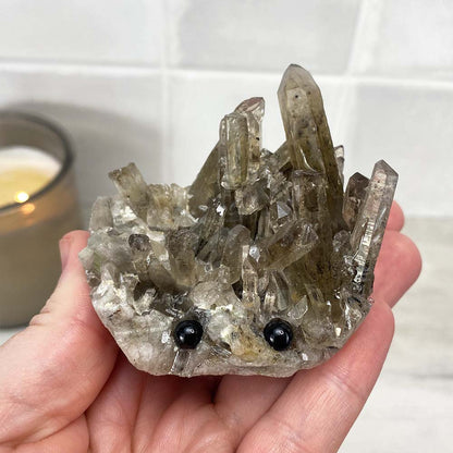Smoky Specimen Hedgehog Carving