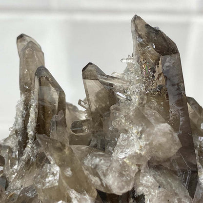 Smoky Specimen Hedgehog Carving