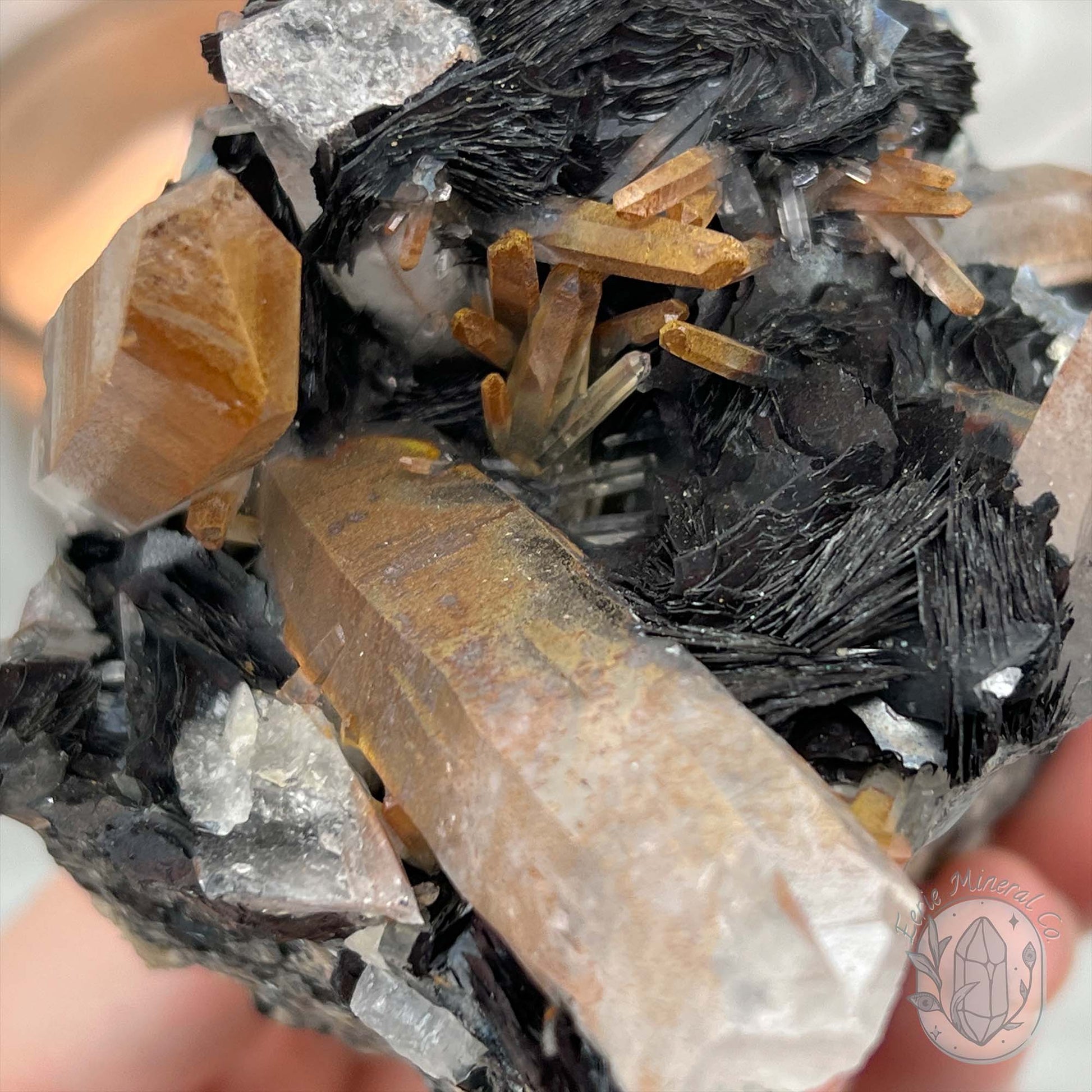 Black Specularite with Clear Quartz Crystal Specimen