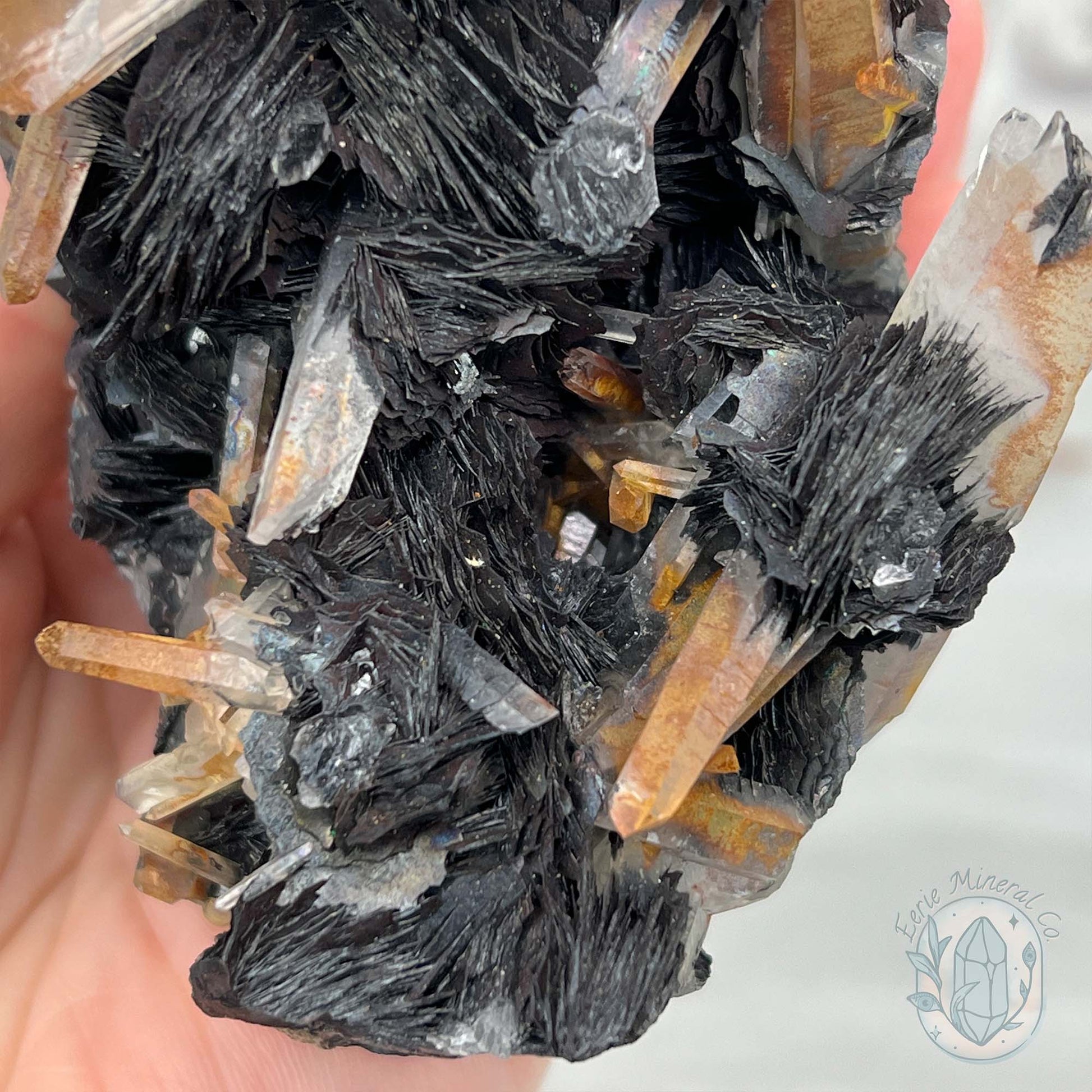 Black Specularite with Clear Quartz Crystal Specimen