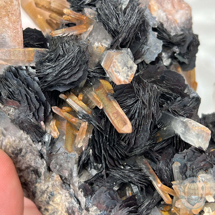 Black Specularite with Clear Quartz Crystal Specimen