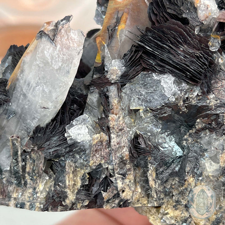 Black Specularite with Clear Quartz Crystal Specimen