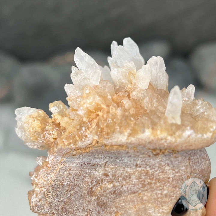 Creamy Calcite Stalactite Hedgehog Calcite