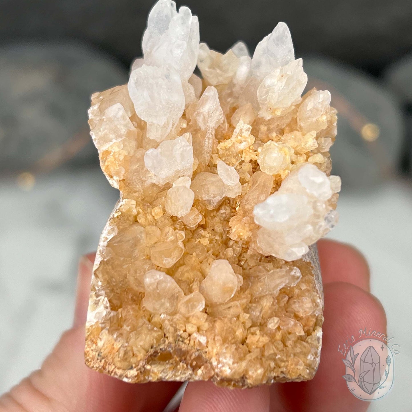 Creamy Calcite Stalactite Hedgehog