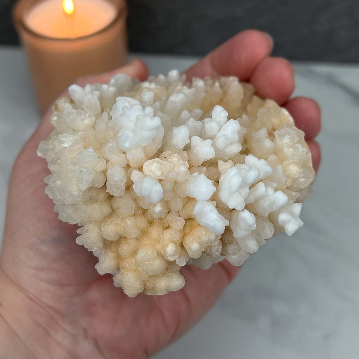 Large Creamy White Calcite Stalactite Pet Rock